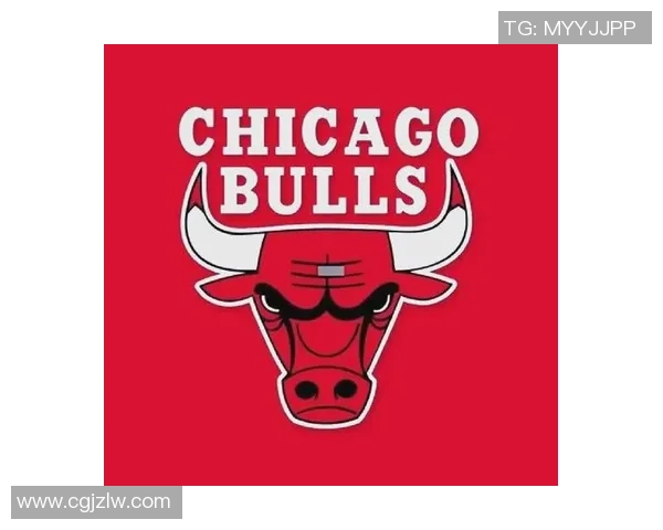 骑士与公牛的季后赛对决回顾与分析：历史交锋与关键时刻的精彩瞬间